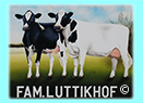 melkveebedrijf Luttikhof